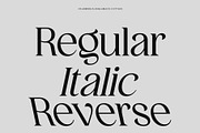 CS Armida – Elegant Serif Font, a Serif Font by Craft Supply Co. (Thumbnail 3 of 8)