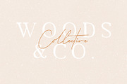 Farmhouse - Painted Serif Font, a Serif Font by Tropical Type (Thumbnail 3 of 10)