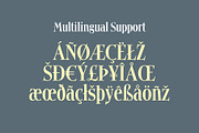 Cosmetica Font, a Serif Font by Mysterylab Designs (Thumbnail 8 of 14)