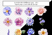 50 Watercolor Painted Wildflowers, an Object Graphic by AllTheKewtClipart (Thumbnail 3 of 5)