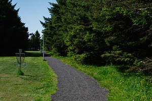 Disc golf course in a park with green trees in Akranes, Iceland, a Photo by AS photostudio