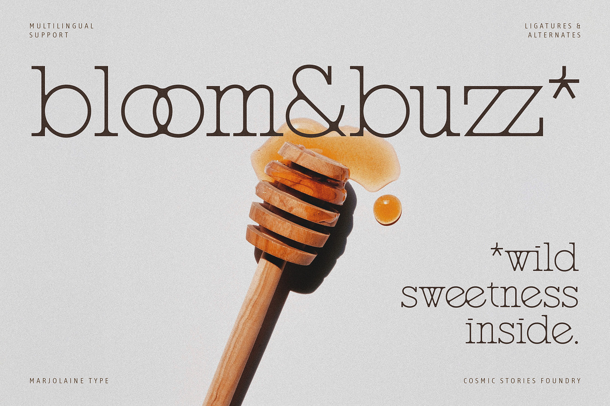 Marjolaine Type - A delicate Serif, a Serif Font by CarmineType (Photo 18 of 24)