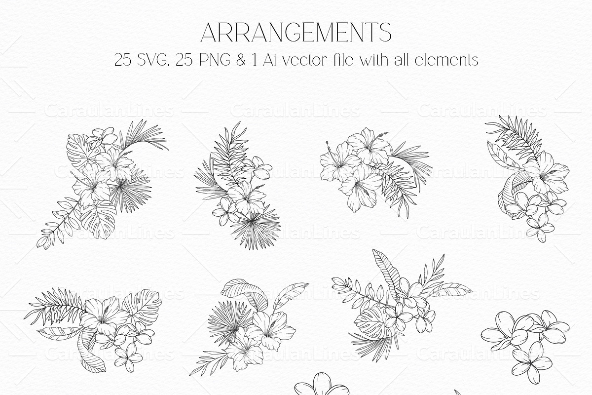 Tropical Plants Line Art, a Seasonal Illustration by CaraulanStore (Photo 2 of 9)