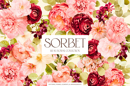 Sorbet Pink Floral Graphics