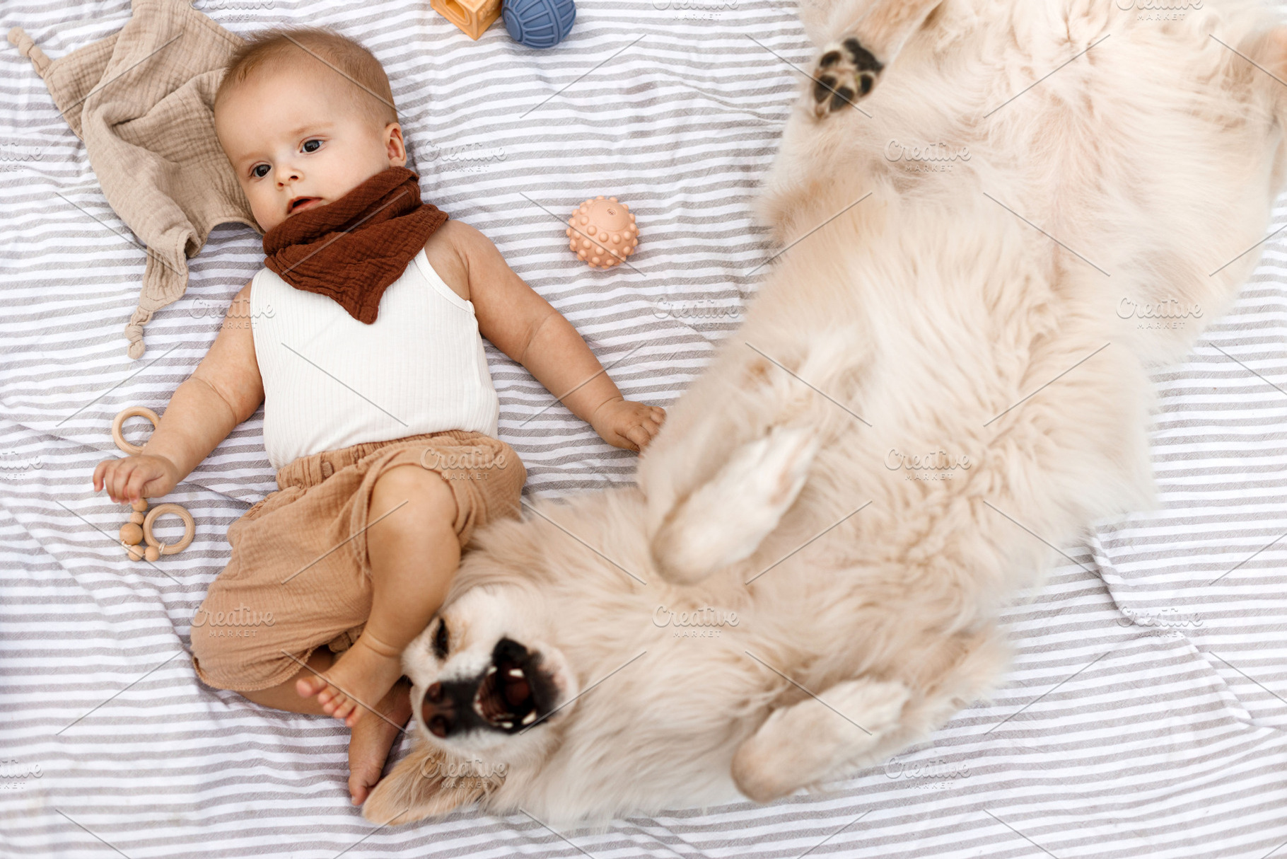 Beautiful happy baby and cute dog playing with toys while lying, a Person Photo by Sonjachni