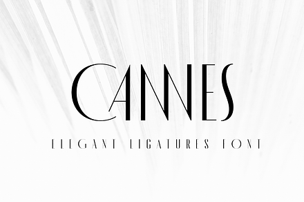MADE Cannes, a Sans Serif Font by MadeType