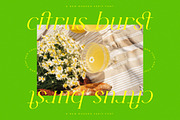 Herits Modern Serif Font, a Serif Font by AmorfaType (Thumbnail 5 of 10)