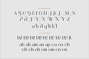 Gealova Modern Serif Font, a Serif Font by Storytype Studio (Thumbnail 13 of 15)