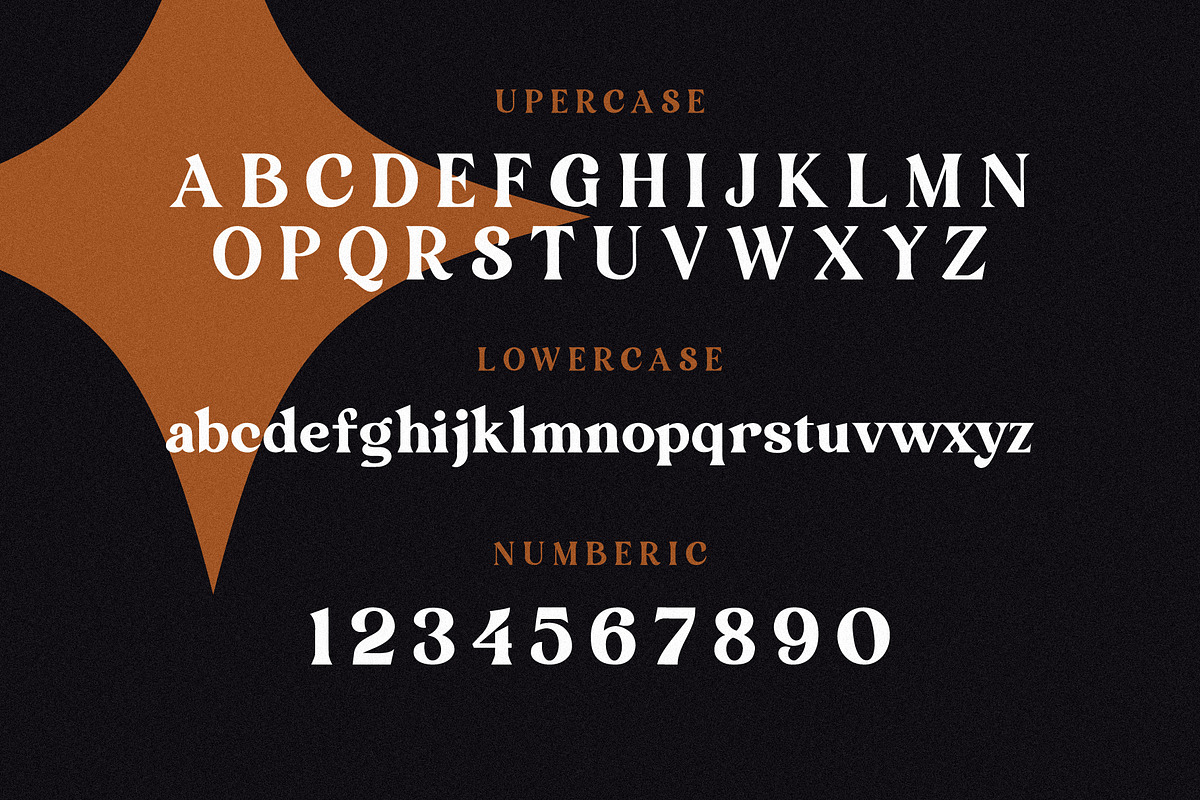 Ramongs - Vintage Serif Font, a Serif Font by Lettermine (Photo 8 of 10)
