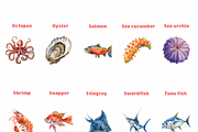 20 Watercolor Sea Animals PNG, an Animal Illustration by DesignBTF (Thumbnail 3 of 4)