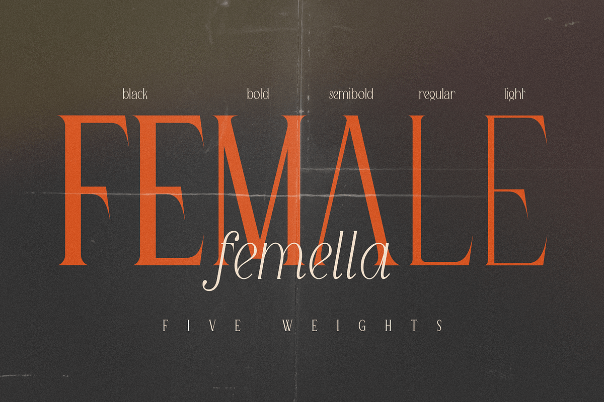 Queen Serif - 10 fonts, a Serif Font by FactoryType Studio (Photo 2 of 10)