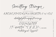 Something Stronger Handwritten Font, a Script Font by Vilogsign (Thumbnail 8 of 9)