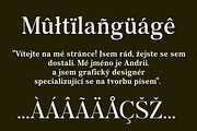Acreva: Universal Serif Font, a Serif Font by Andfonts (Thumbnail 7 of 8)