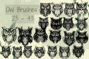 Procreate Owl Stamp Brushes