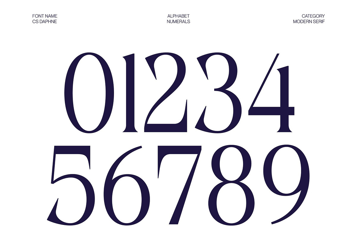 CS Daphne – Contemporary Font, a Serif Font by Craft Supply Co. (Photo 6 of 8)
