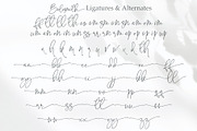 Bolesmith, a Script Font by Sealoung (Thumbnail 16 of 17)