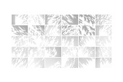 30 Shadow Overlays vol. 03 Plants, a Background Graphic by DESIGN BY nube (Thumbnail 2 of 10)