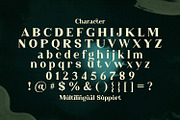 Phantom Shrine - Beautiful Serif Fon, a Serif Font by StringLabs (Thumbnail 14 of 15)