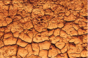 Cracked Earth. An arid landscape, a Background Photo by Lukas Jonaitis SHOP