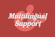 Axstura Jm, a Serif Font by joelmaker (Thumbnail 16 of 31)