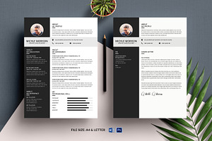 Simple Clean Resume