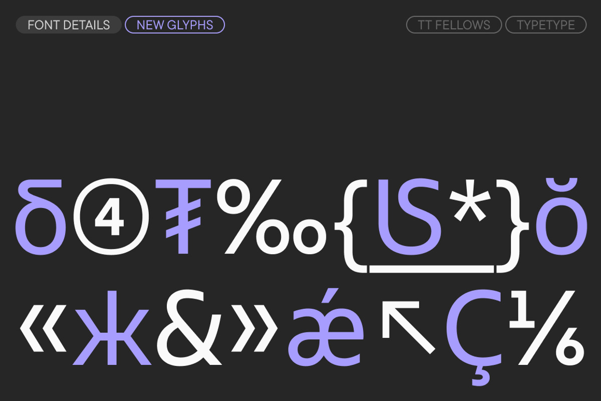TT Fellows, a Sans Serif Font by TypeType (Photo 15 of 15)