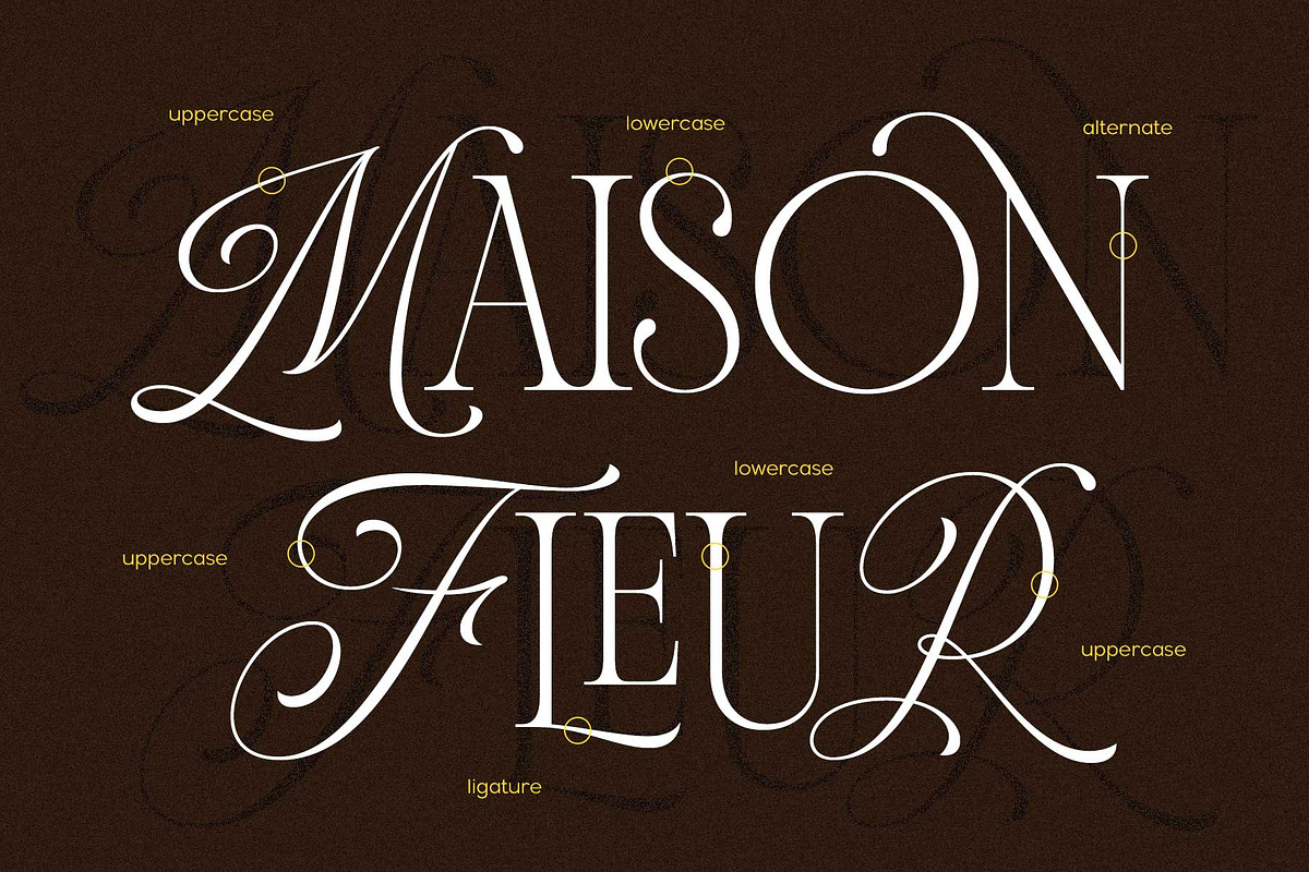 Andiena Bielsa - Hybrid Serif, a Serif Font by Arterfak Project (Photo 9 of 12)
