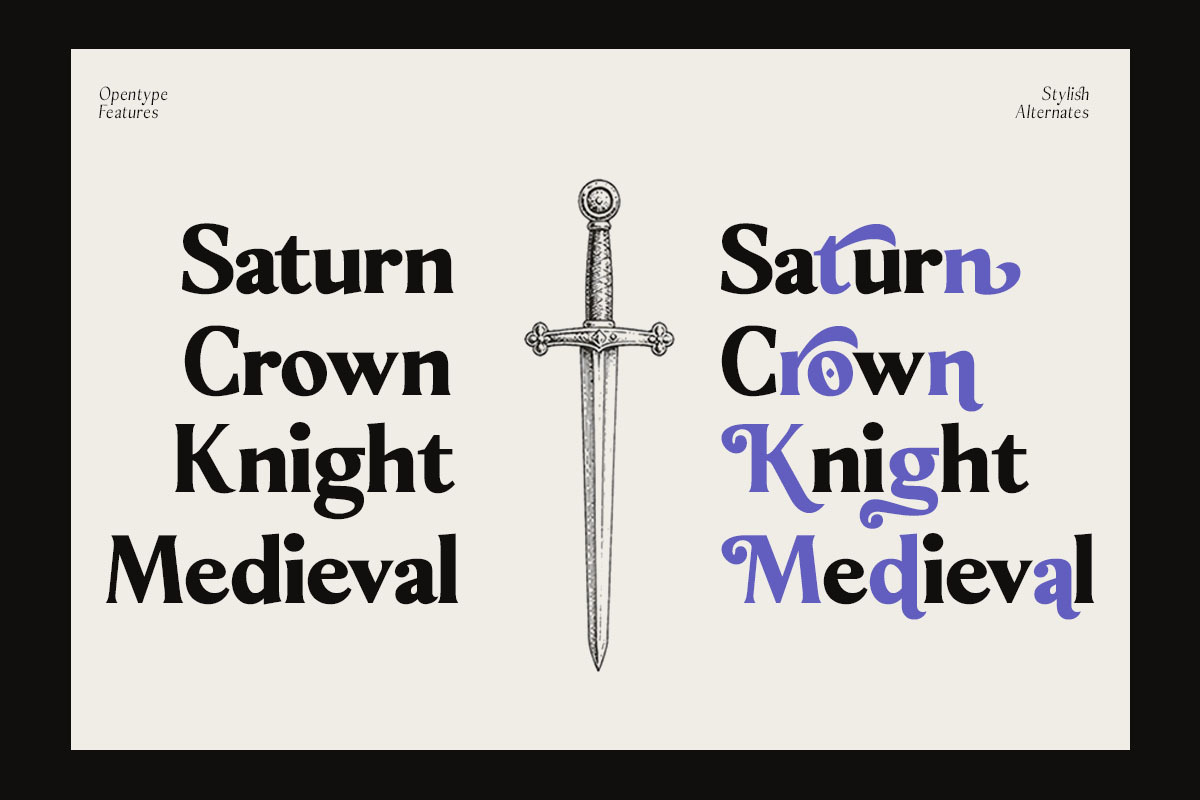 Sonne | 12 Fonts, a Serif Font by Skinny Type (Photo 3 of 11)