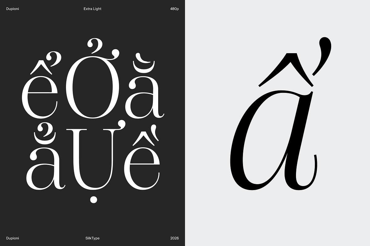 Dupioni - 6 font family, a Serif Font by Silktype (Photo 18 of 21)