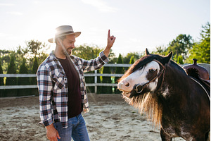 Farmer with his horse on farm., an Animal Photo by HalfPoint