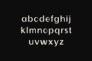 Tradehouse Sans Serif Family Font, a Sans Serif Font by UICreative (Thumbnail 2 of 13)