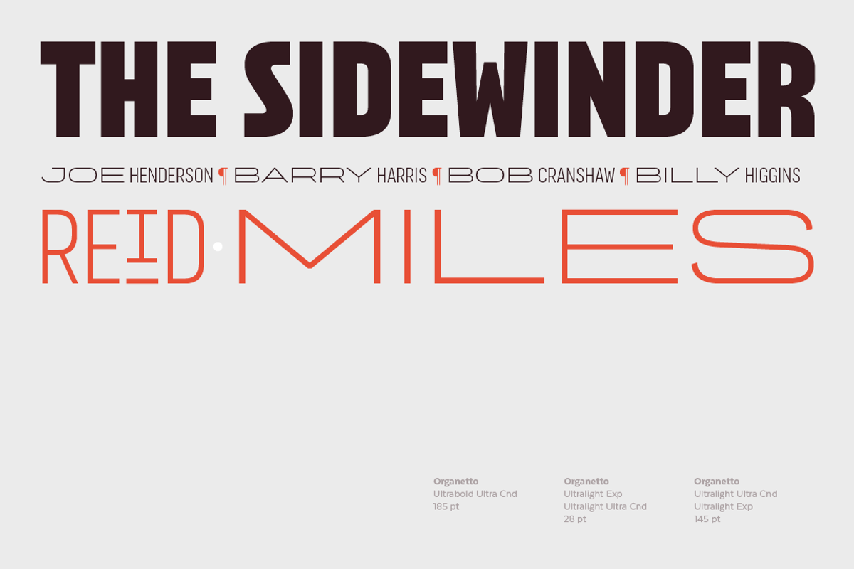 Organetto, a Sans Serif Font by Latinotype (Photo 12 of 15)