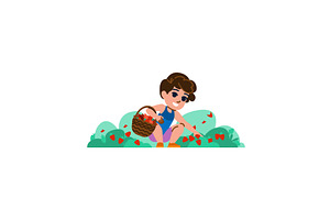 Boy picking strawberries in basket, an Illustration by pikepicture