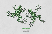 Magic Frogs Line Art Patterns, a Pattern Graphic by ilonitta (Thumbnail 10 of 13)