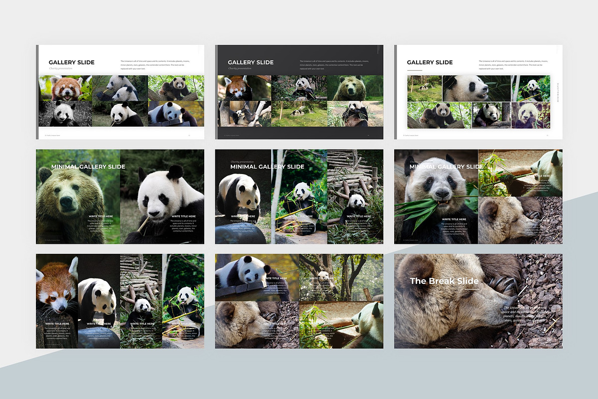Animal Charity PowerPoint Template, a Presentation Template by litoondev (Photo 8 of 10)
