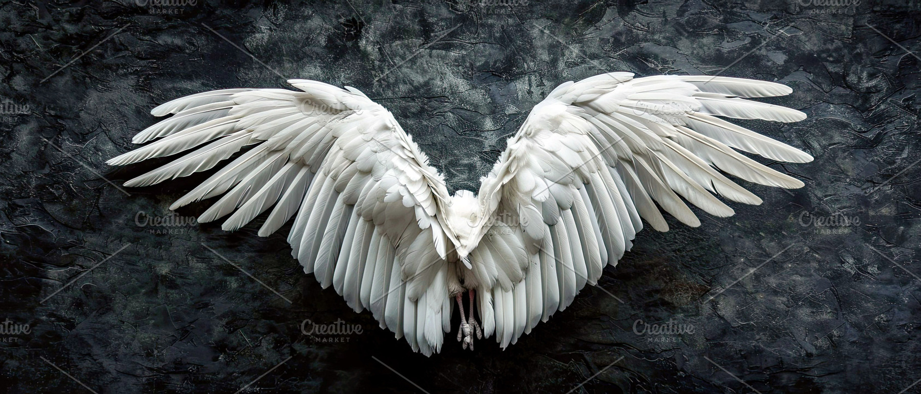 Wings on black background  , Generat, a Photo by LOGOCREATIVE