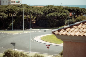 Coastal roundabout with pine trees, a Transportation Photo by SkyNext