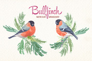 Watercolor bullfinch bird clipart, an Illustration by Art & Things (Thumbnail 2 of 5)