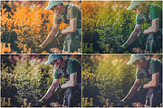 24 Color Grading Photoshop Action preview 3
