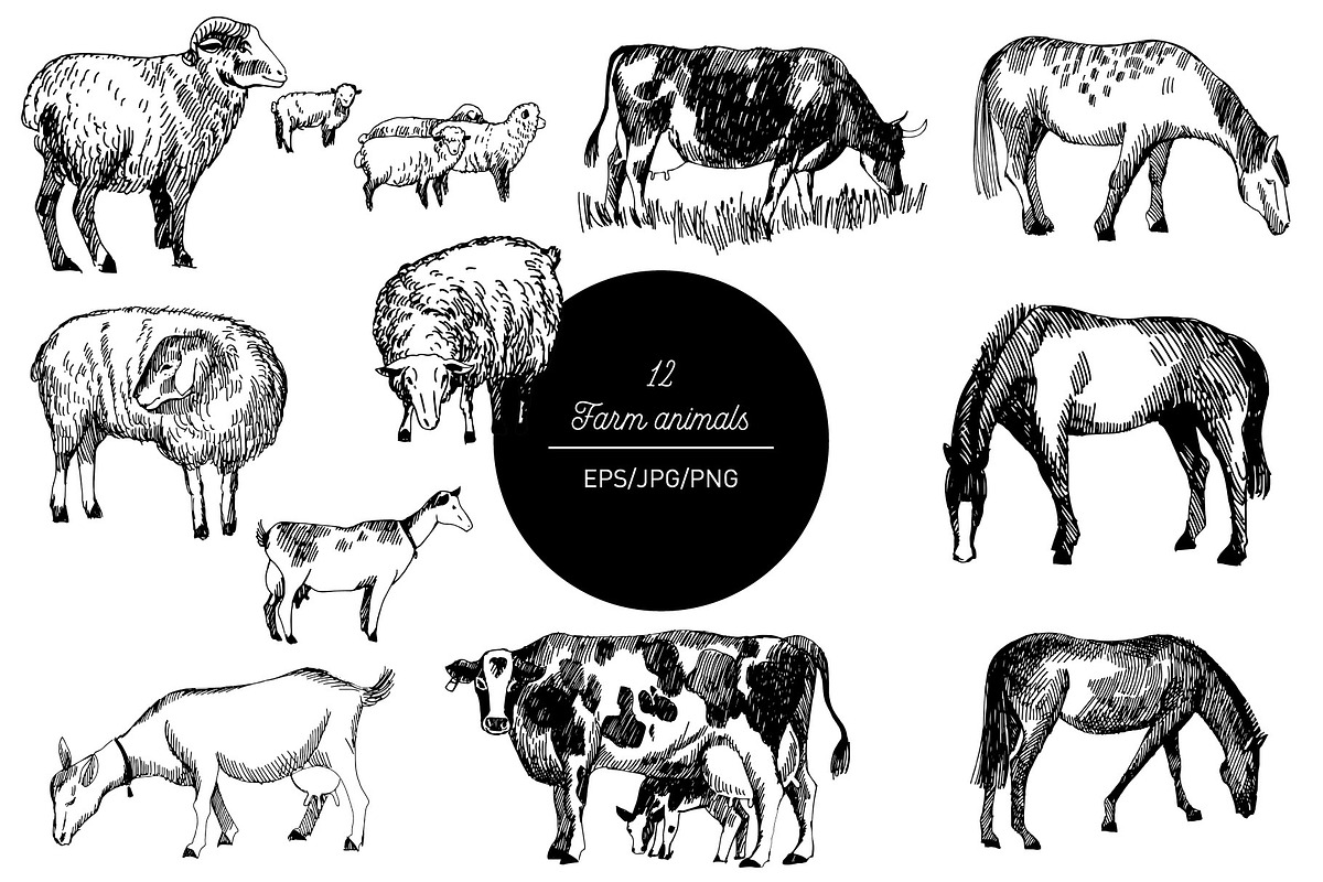 Mountains landscapes, an Animal Illustration by Tatiana Davidova (Photo 5 of 5)