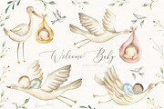 Welcome Baby, an Illustration by Flora+Bear (Thumbnail 1 of 7)
