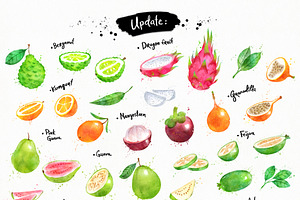 Fruit Watercolor Collection