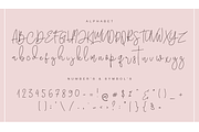 Salt Lake, a Handwritten Font by Besttypeco (Thumbnail 7 of 8)