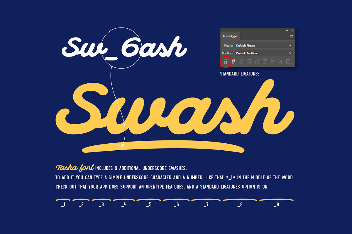 Tasha script font, a Script Font by Gleb Guralnyk (Photo 6 of 7)