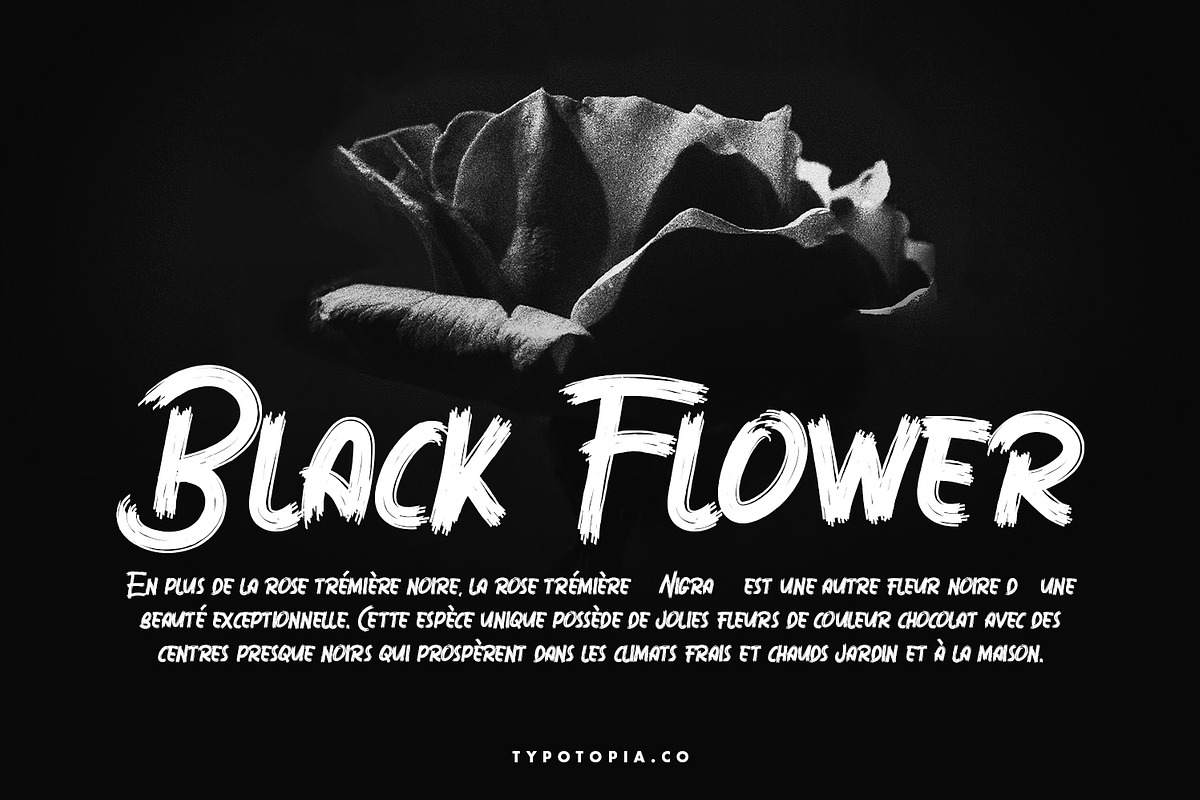 Sabotase - The Brush Font preview 3