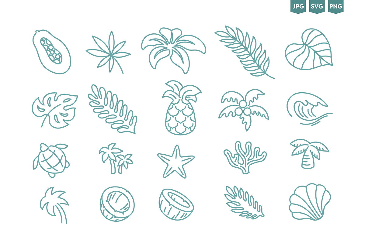 Tropical Doodles, Vector Set, a Decorative Illustration by Ilia Design (Photo 8 of 11)