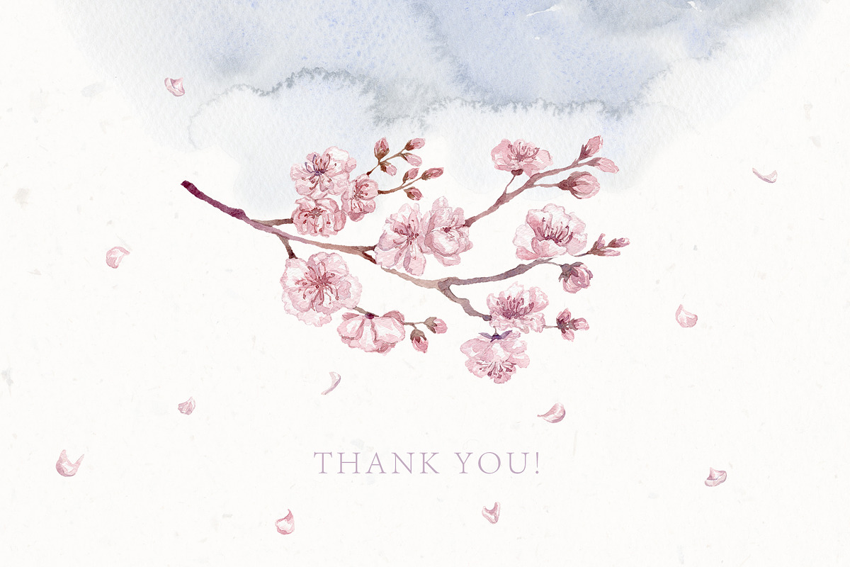 Sakura Blossom. Cherry Spring., a Seasonal Illustration by Designwork (Photo 22 of 23)
