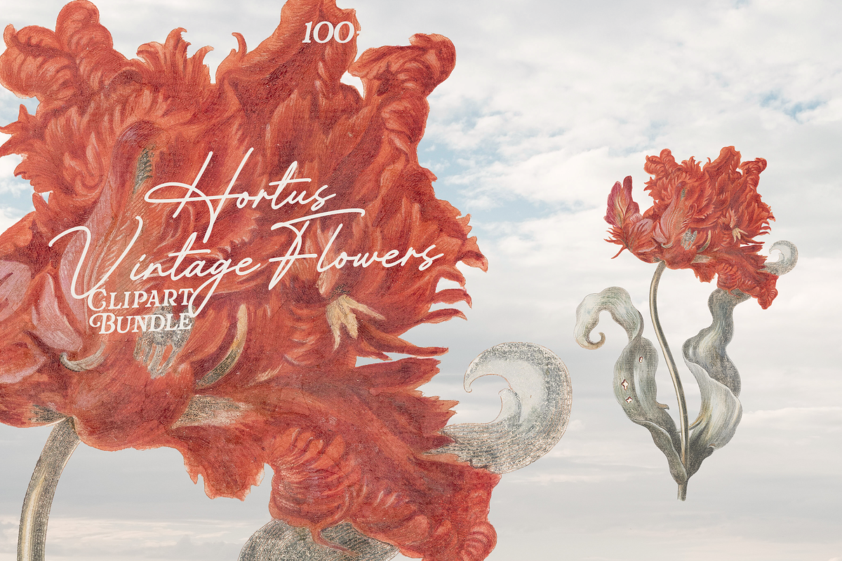 Hortus Vintage Flowers Cliparts, a Decorative Illustration by Lilithcollageart (Photo 4 of 12)