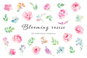 Blooming Roses Watercolor Clipart