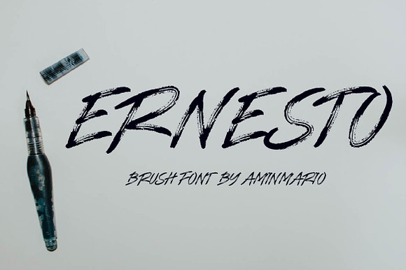 ERNESTO preview 8